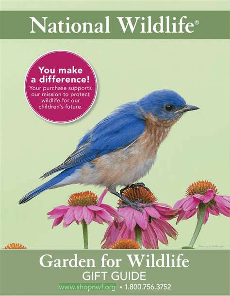 Introducing the Garden for Wildlife Gift Guide Catalog : The National ...