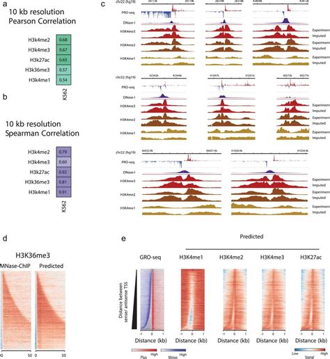 Comparison Between Experimental And Imputed Mnase Download