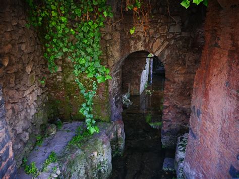 Forest Jungle Collective On Twitter The Roman Theatre Of Catania An