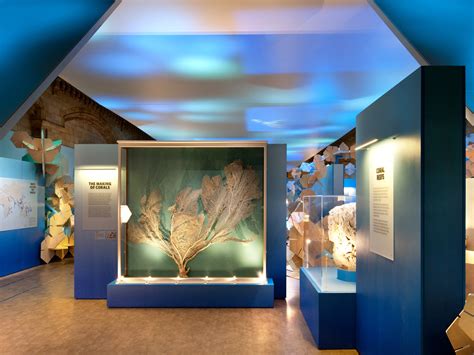 Coral Reefs Secret Cities Of The Sea Natural History Museum And