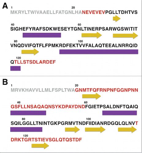 Full Article Are The Curli Proteins CsgE And CsgF Intrinsically