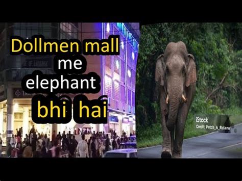 Aj Rama K Sath Bahir Iftar Ki Or Elephant Bhi Deikh Liya Malaika