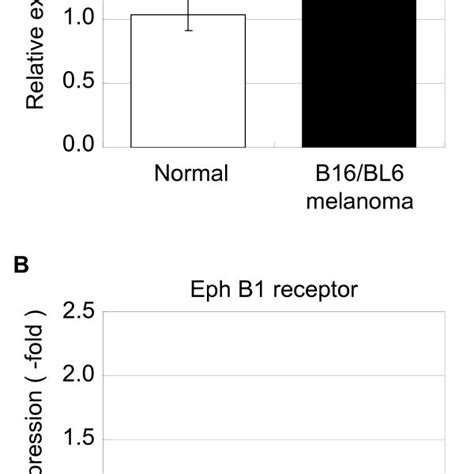 Ephrin B And Eph B Receptor Gene Expression In Drgs From