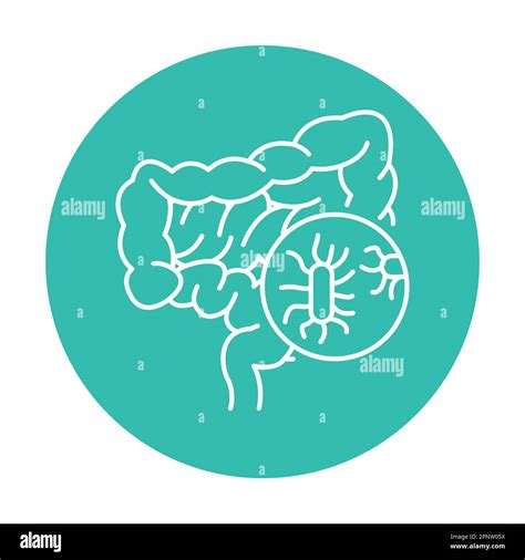 Icono De Línea De Color De Bacterias Intestinales Enfermedades Humanas Pictograma Para Página