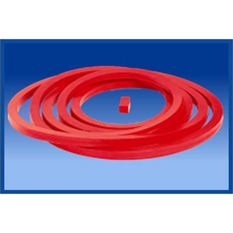 Red Silicone Rubber Autoclave Gasket Thickness Mm At Rs Piece