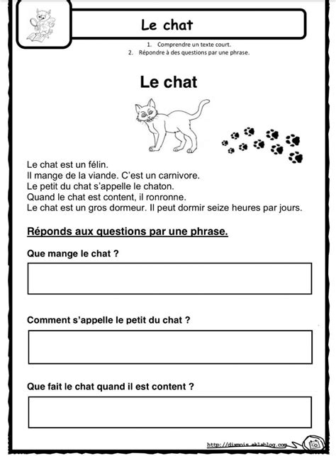 French reading comprehension passages questions compréhension de la