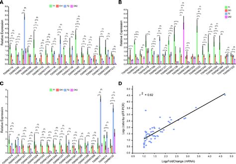 A C Expression Analysis Of 54 WRKY Genes In Eleven Samples By QPCR