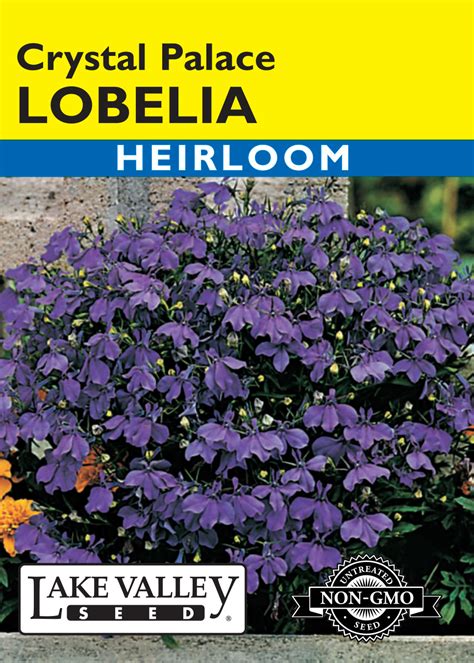 Lobelia Crystal Palace - Item #177 - Lake Valley Seed