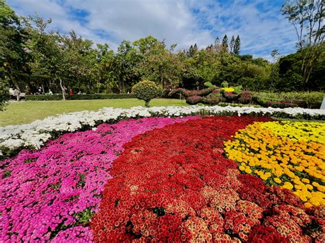 2023士林官邸菊展下~菊藝生活園藝展覽館and新蘭亭and中式庭園 Shine的幽美幻境 Udn部落格