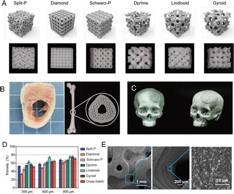 Tpms‐structure‐based 3d‐printed Hap Scaffolds A Six Tpms Models And