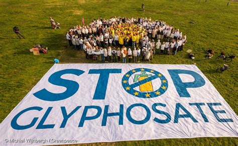 Eu To Renew Glyphosate Licence Ignoring Concerns Greenpeace European