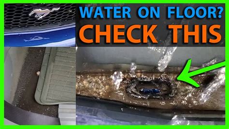 How To Fix Ford Mustang Passenger Side Water Leak Plugged