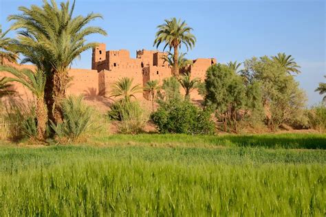 Valley Of The Draa Kasbah 2 Zagora Pictures Morocco In Global