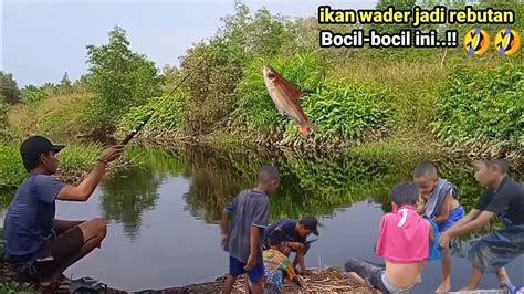 BOCIL BOCIL INI SAMPE REBUTAN IKAN KARENA DAPAT STREK BANYAK MANCING