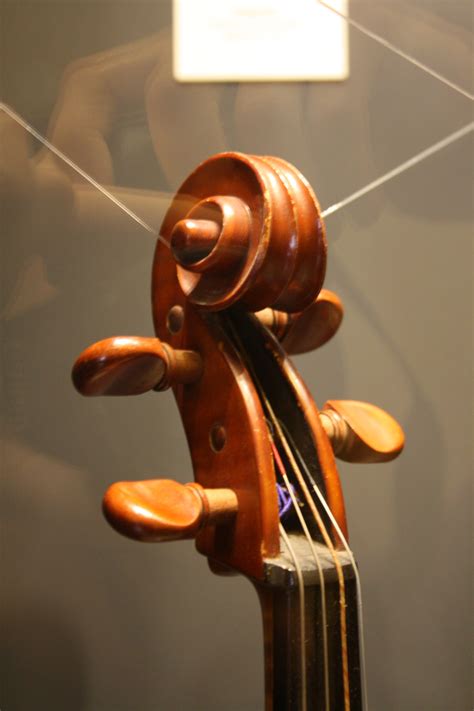 Sala Strumenti Musicali Dettaglio Del Ricciolo Di Un Classico Violino