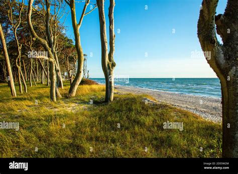 Fischland Hi Res Stock Photography And Images Alamy