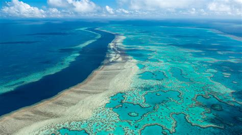 U N Mission Joins Growing Calls To Label Great Barrier Reef In Danger