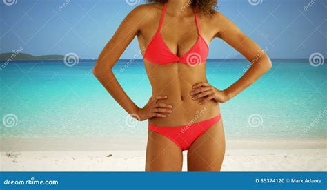 Retrato Del Bikini Que Lleva De La Mujer Negra En Una Playa Del Caribe