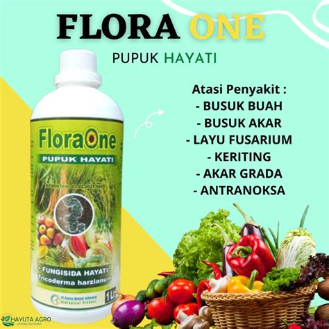 Jual Flora One Pupuk Hayati Cair 1 Liter Pemacu Pertumbuhan Pengendali Penyakit Tanaman Akar