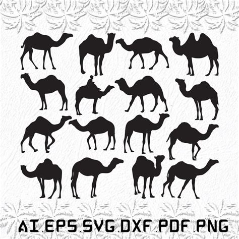 Camel Svg Camels Svg Animals Svg Animal Arabi Svg Ai Etsy