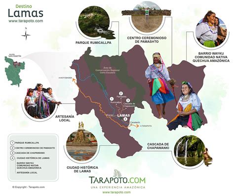 Lamas Destino Amazónico Lamas Perú Tarapoto