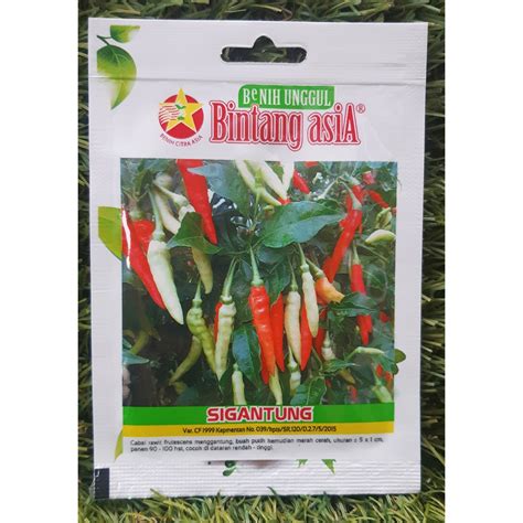 Jual Benih Bibit Cabe Rawit Sigantung Bintang Asia Kemasan Pabrik