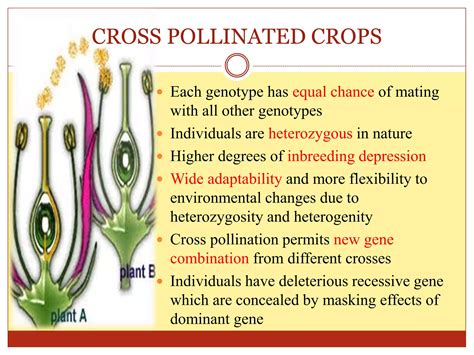 Breeding methods in cross pollinated crops | PPTX