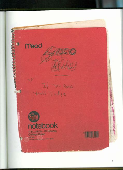 Kurt Cobain Journals: Kurt Cobain Journal 006 - 020