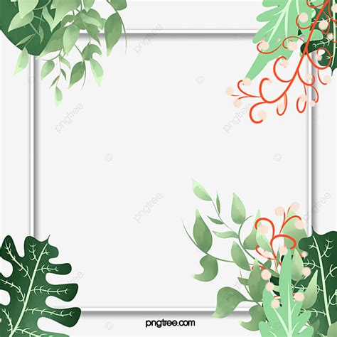 Green Tropical Plant Border Hand Painted Plant Border Tropic PNG