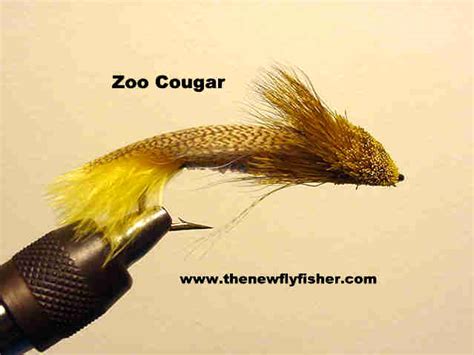 Streamers for Big Trout - The New Fly Fisher