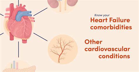 Heart Failure Patient Council Global Heart Hub