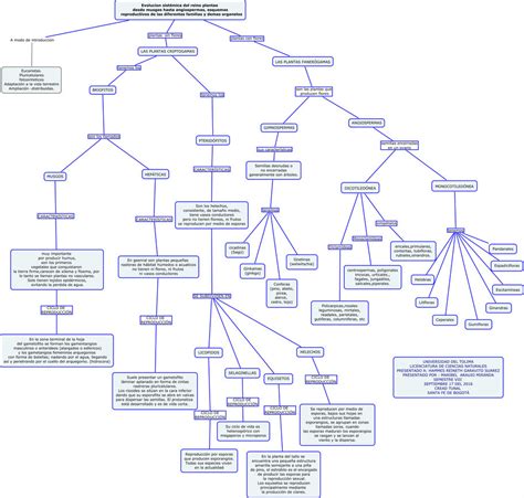 Esquemas Diagramas Graficos Y Mapas Conceptuales Esquema Reino Plantae Images