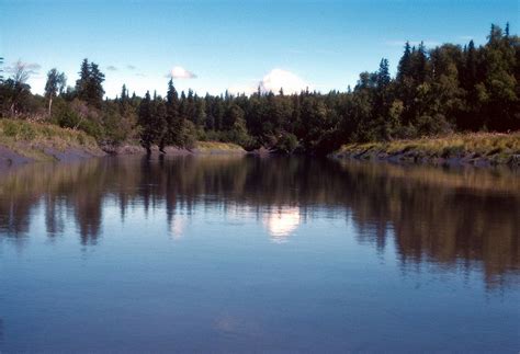 Little Susitna River | ALASKA.ORG