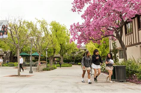 Top 20 Best Private Schools in Pasadena, CA (2025)