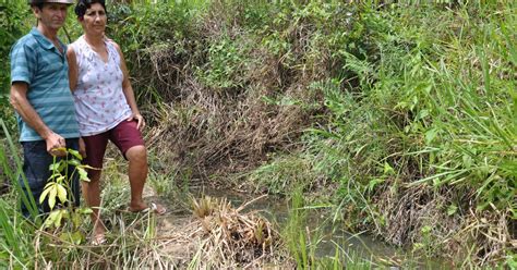 G1 Agricultores preservam nascentes e dão exemplo no Norte Fluminense