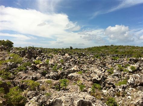 Naurus Phosphate Mines Alluring World