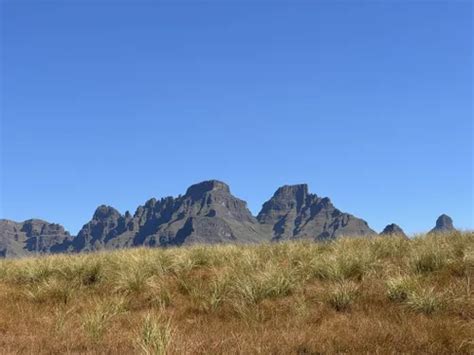 Best Wildlife Trails in Drakensberg | AllTrails