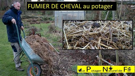 Utilisation Du Fumier De Cheval Frais Au Potager Youtube