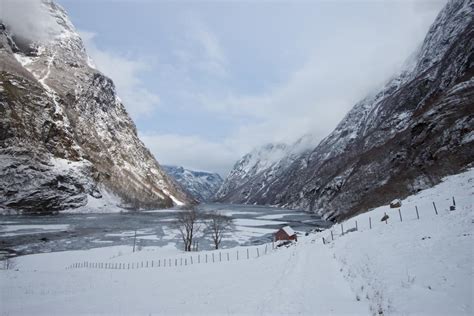 Frozen Fjords