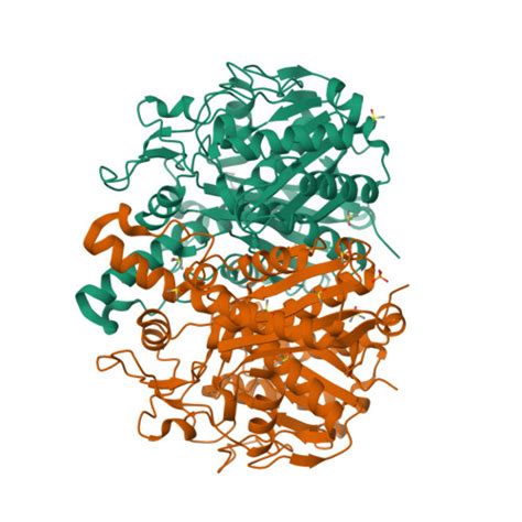 Rcsb Pdb Sof Pandda Analysis Group Deposition Crystal Structure