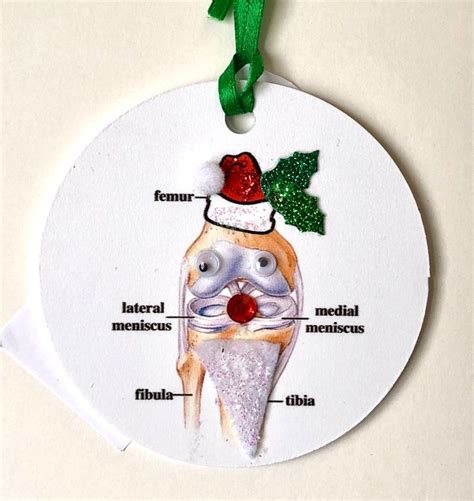 Hmobyghm On Etsy Orthopedics Medical Ornament Holiday Fun Ornaments