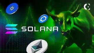 Solana Dominates Altcoin Market Are ETH ADA And LINK Bulls NGMI