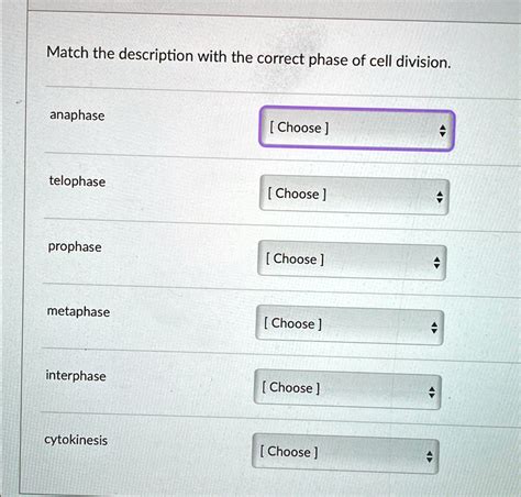 Solved Match The Description With The Correct Phase Of Cell Division