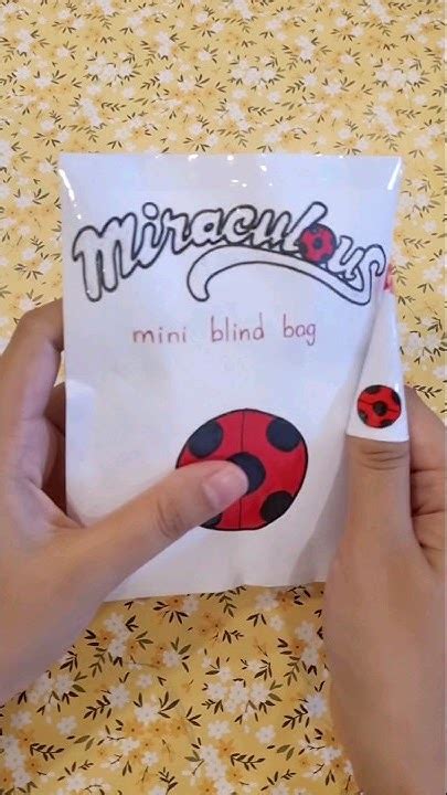 Lady Bug Blind Bag Miraculous Ladybug Blindbag Papersquishy Asmr