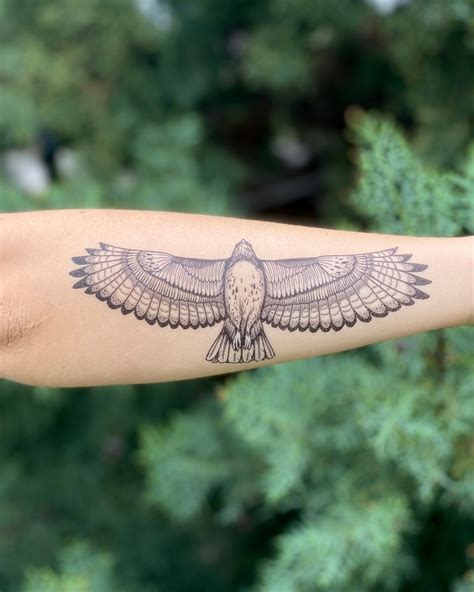 Hawk Temporary Tattoo Collection, Red-tailed Hawk Art, Birds of Prey ...