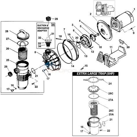 Century Pool Pump Motor Parts Diagram