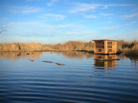 Colusa Refuge Photo Blind 3 At Sacramento National Wildlife Refuge