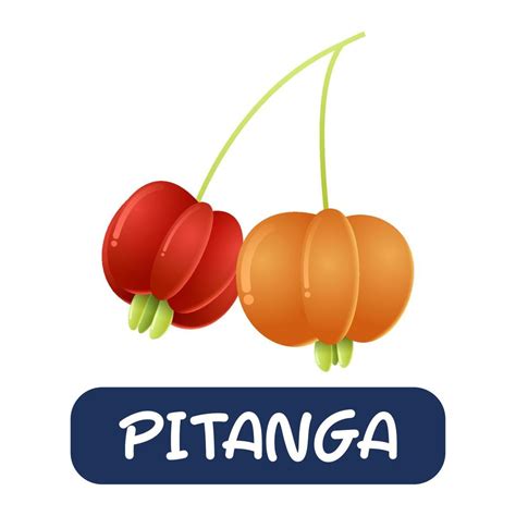 Cartoon Pitanga Fruit Vector Isolated On White Background 9422760