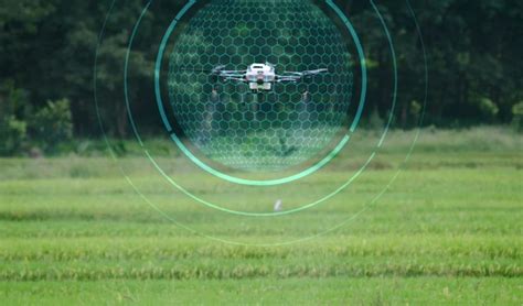 Dji Agras T Agras T Agricultural Drone Spraying Spraying