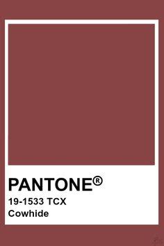 Pantone I In Fikir Renkler Renk Paletleri Pantone